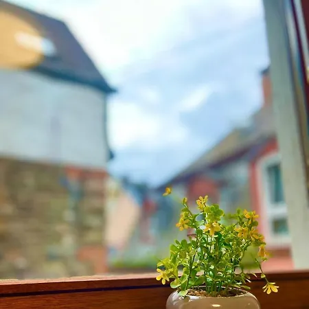 Ferienwohnung Bloom Bernkastel-Kues Eksteriør billede